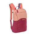 Arete™ 14 Pack 1.5L F4